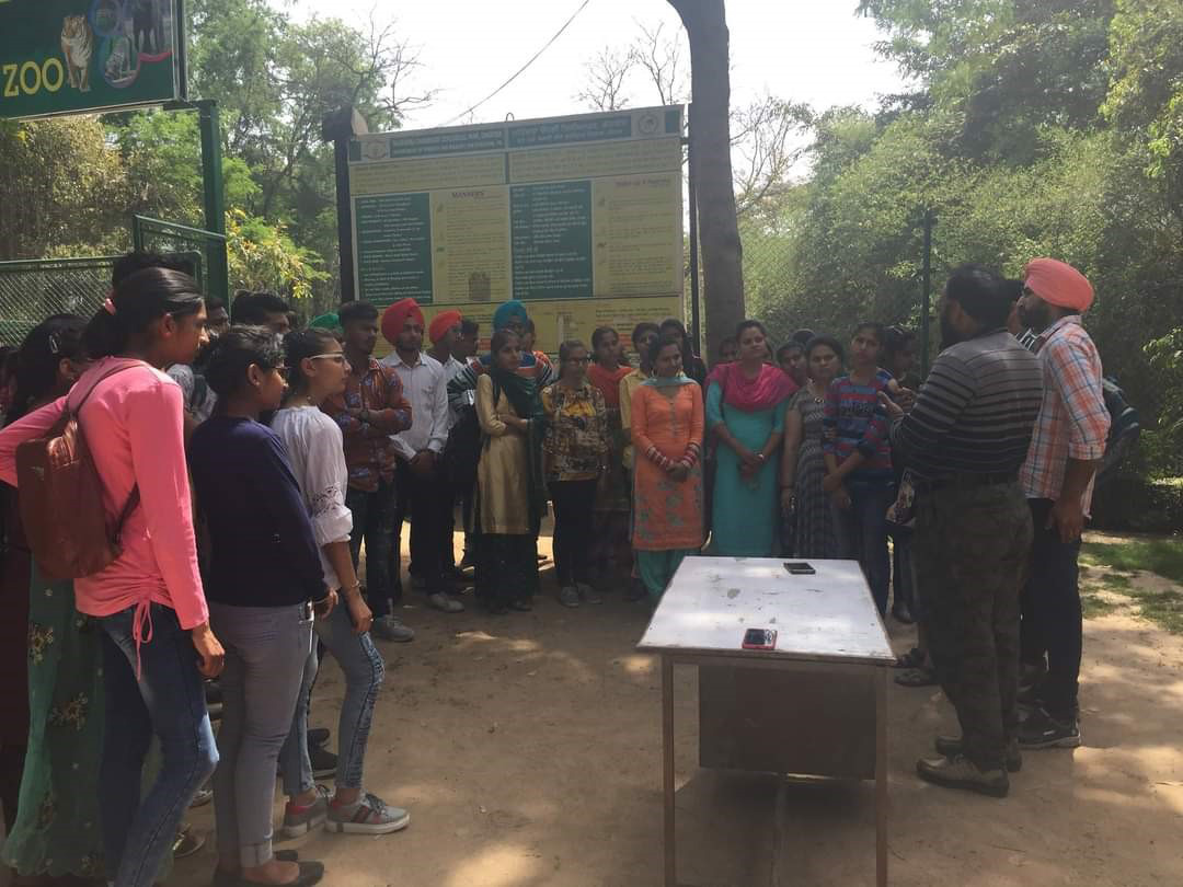 Activity of Zoology Department